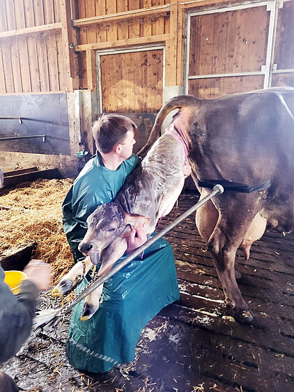 ...ist der Tierarzt zur Stelle!